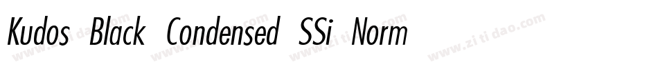 Kudos Black Condensed SSi Normal字体转换